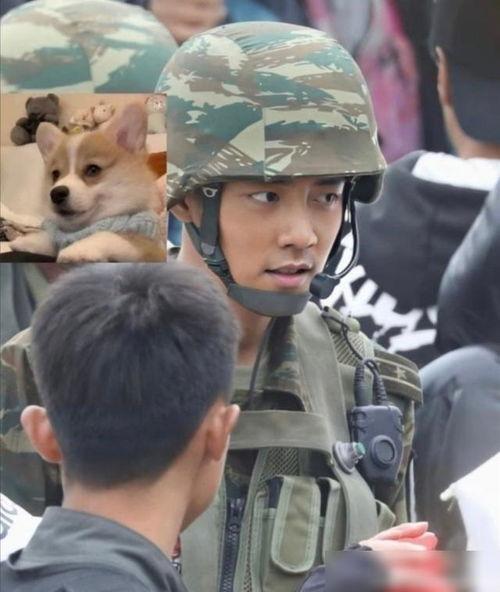 群演爆料肖战视频大全集,揭秘明星幕后故事